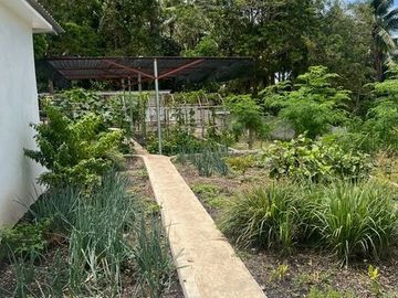 Ocean View Modern Far House for Sale ID 14999