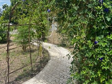 Ocean View Modern Far House for Sale ID 14999