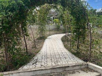 Ocean View Modern Far House for Sale ID 14999