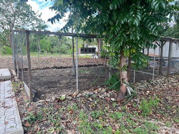 Ocean View Modern Far House for Sale ID 14999