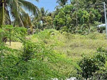 Ocean View Modern Far House for Sale ID 14999