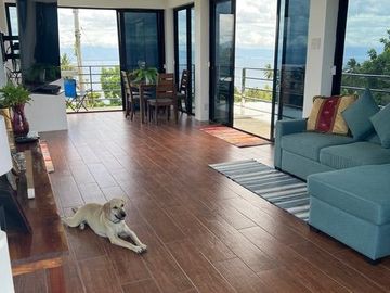 Ocean View Modern Far House for Sale ID 14999