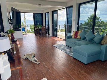 Ocean View Modern Far House for Sale ID 14999