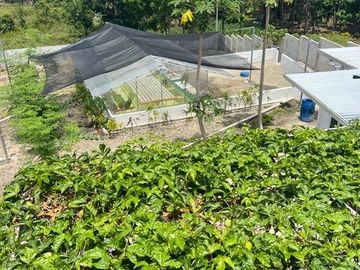 Ocean View Modern Far House for Sale ID 14999