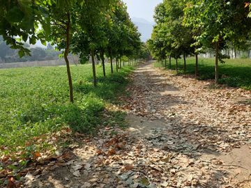 🌞 ¡OPORTUNIDAD IMPERDIBLE EN CIENEGUILLA! 🌳💧