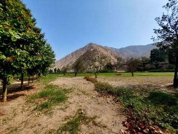 🌞 ¡OPORTUNIDAD IMPERDIBLE EN CIENEGUILLA! 🌳💧