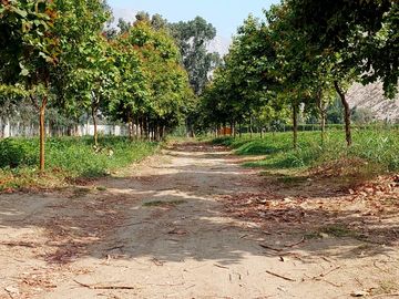 🌞 ¡OPORTUNIDAD IMPERDIBLE EN CIENEGUILLA! 🌳💧