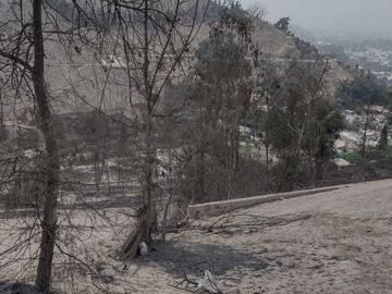 ✨ ¡TERRENO EXCLUSIVO EN LA MOLINA! 🏞️🌟