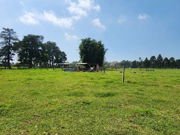 Invierte en tierra fértil, vida plena y producción constante