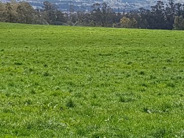 Venta Hacienda Lote Macrolote Finca Terreno en Sangolquí Quito - T181