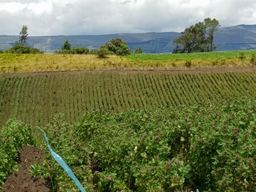 Venta Hacienda Lote Macrolote Finca Terreno en Sangolquí Quito - T181