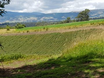 Venta Hacienda Lote Macrolote Finca Terreno en Sangolquí Quito - T181