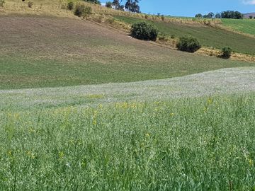 Venta Hacienda Lote Macrolote Finca Terreno en Sangolquí Quito - T181