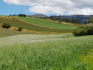 Venta Hacienda Lote Macrolote Finca Terreno en Sangolquí Quito - T181