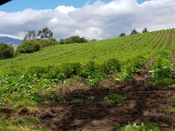 Venta Hacienda Lote Macrolote Finca Terreno en Sangolquí Quito - T181
