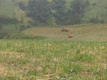 Venta Hacienda Lote Macrolote Finca Terreno en Sangolquí Quito - T181