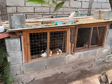 EN VENTA QUINTA EN GUAYLLABAMBA. EXCELENTE UBICACION