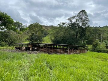 hacienda ganadera de venta en chone mongoya Y/T