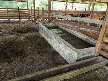 hacienda ganadera de venta en chone mongoya Y/T