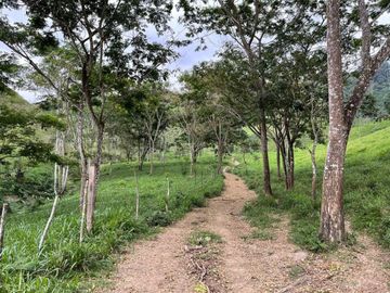 hacienda ganadera de venta en chone mongoya Y/T