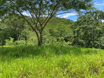 hacienda ganadera de venta en chone mongoya Y/T