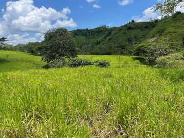 hacienda ganadera de venta en chone mongoya Y/T