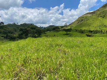 hacienda ganadera de venta en chone mongoya Y/T