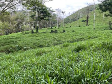 hacienda ganadera de venta en chone mongoya Y/T