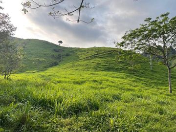 hacienda ganadera de venta en chone mongoya Y/T