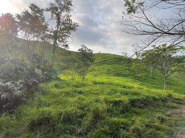 hacienda ganadera de venta en chone mongoya Y/T