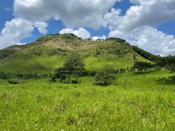 hacienda ganadera de venta en chone mongoya Y/T