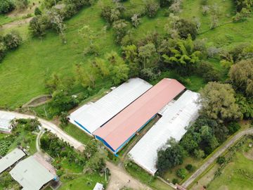 Vendo Finca Avícola en Silvania, Cundinamarca
