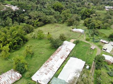 Vendo Finca Avícola en Silvania, Cundinamarca