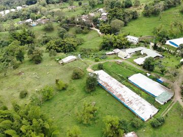Vendo Finca Avícola en Silvania, Cundinamarca