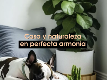 BONITO DEPARATMENTO EN VENTA EN AV. TOLUCA, SAN JOSE DEL BOLIVAR