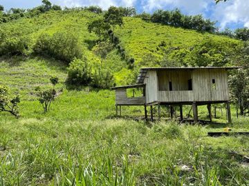 hacienda de venta en flavio alfaro manabi Y/T