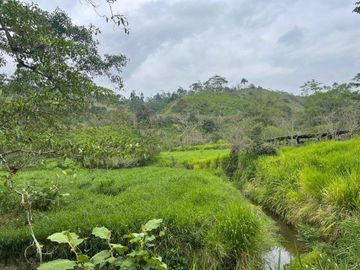 hacienda de venta en flavio alfaro manabi Y/T