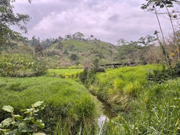 hacienda de venta en flavio alfaro manabi Y/T
