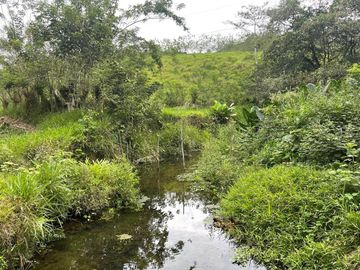 hacienda de venta en flavio alfaro manabi Y/T