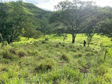 hacienda de venta en flavio alfaro manabi Y/T