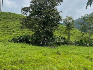 hacienda de venta en flavio alfaro manabi Y/T