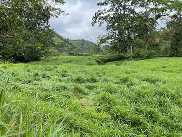 hacienda de venta en flavio alfaro manabi Y/T