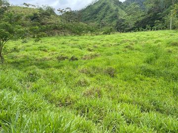 hacienda de venta en flavio alfaro manabi Y/T