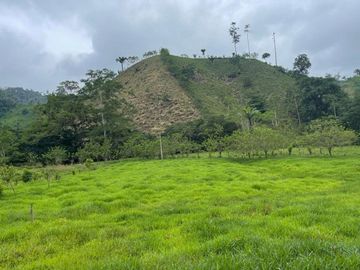 hacienda de venta en flavio alfaro manabi Y/T