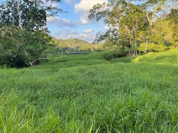 hacienda de venta en flavio alfaro manabi Y/T