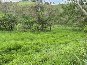 hacienda de venta en flavio alfaro manabi Y/T