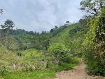 hacienda de venta en flavio alfaro manabi Y/T