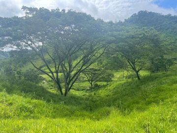 hacienda de venta en flavio alfaro manabi Y/T