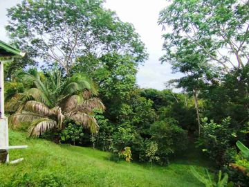 Oportunidad: Preciosa Casa Finca en zona de alta valorización.