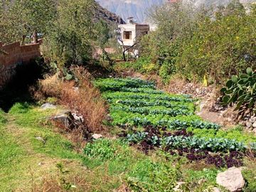 VENTA TERRENO EN YANACONA-URUBAMBA